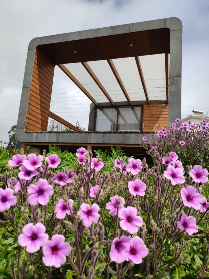 Calheta Glamping Pods - Nature Retreat 外观 照片
