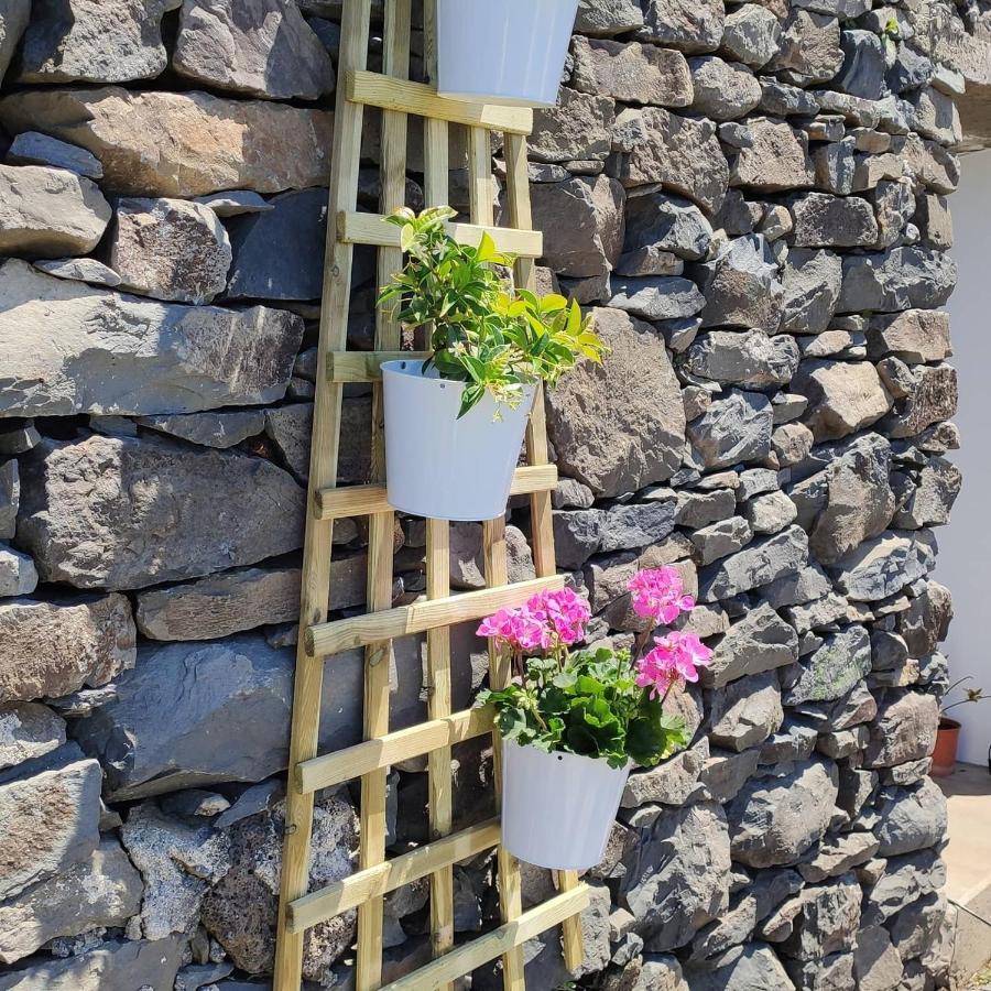 Calheta Glamping Pods - Nature Retreat 外观 照片