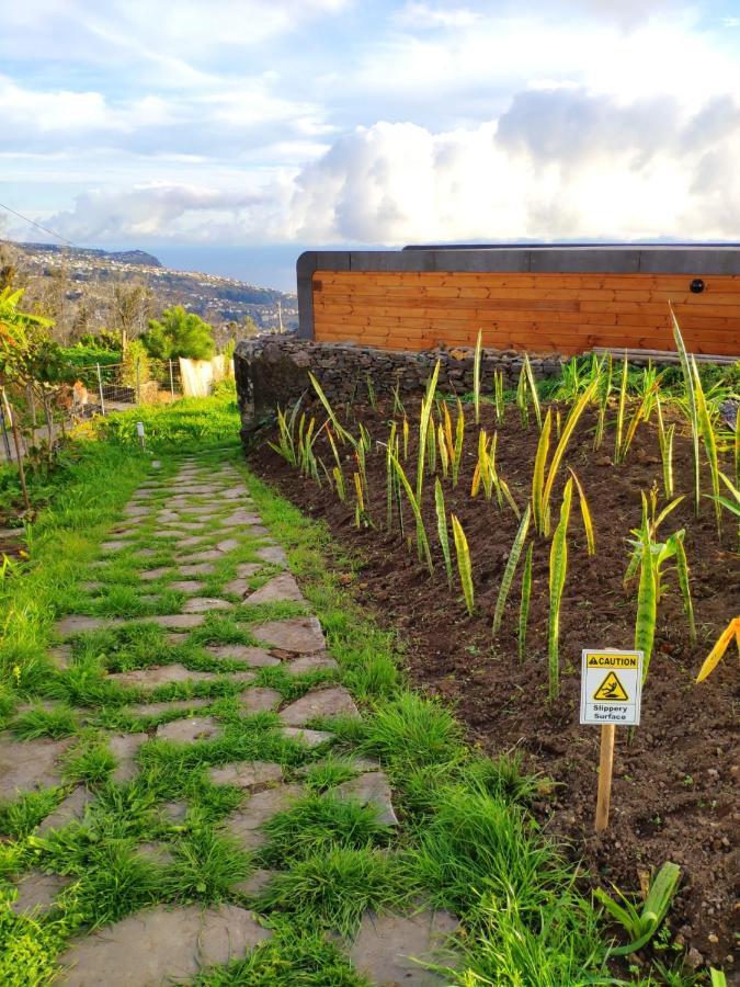 Calheta Glamping Pods - Nature Retreat 外观 照片